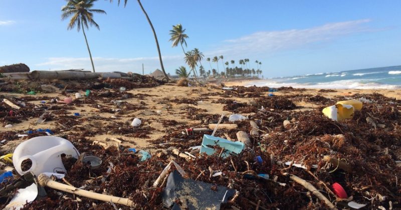 Plage de plastique - Mon Coach Zéro Déchet